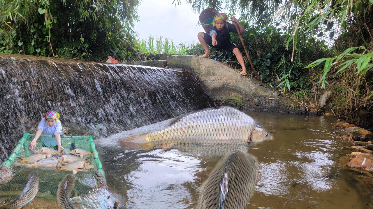 Full video: 30 days with her daughter catching giant fish. giant fishing skills.fish trapping skills