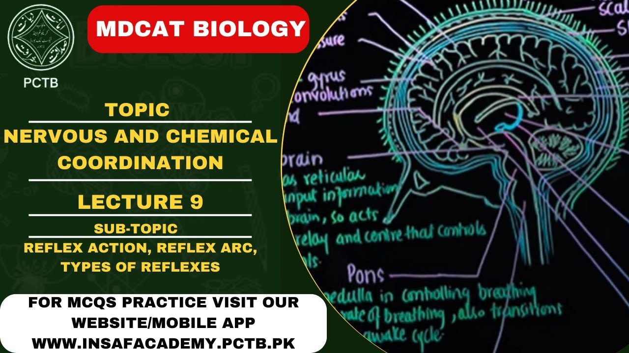REFLEX ACTION || TOPIC || NERVOUS & CHEMICAL COORDINATION || MDCAT/NUMS ||