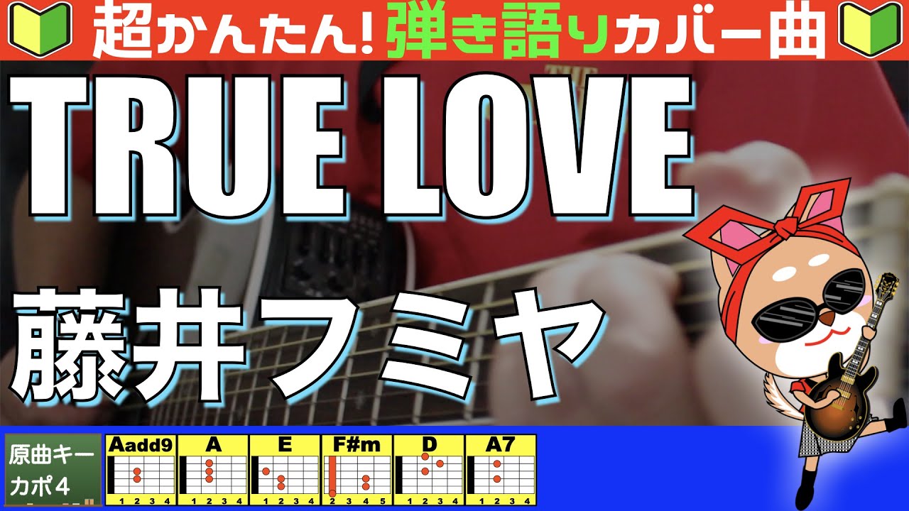 🔰【コード付き】TRUE LOVE　/　藤井フミヤ　弾き語り ギター初心者
