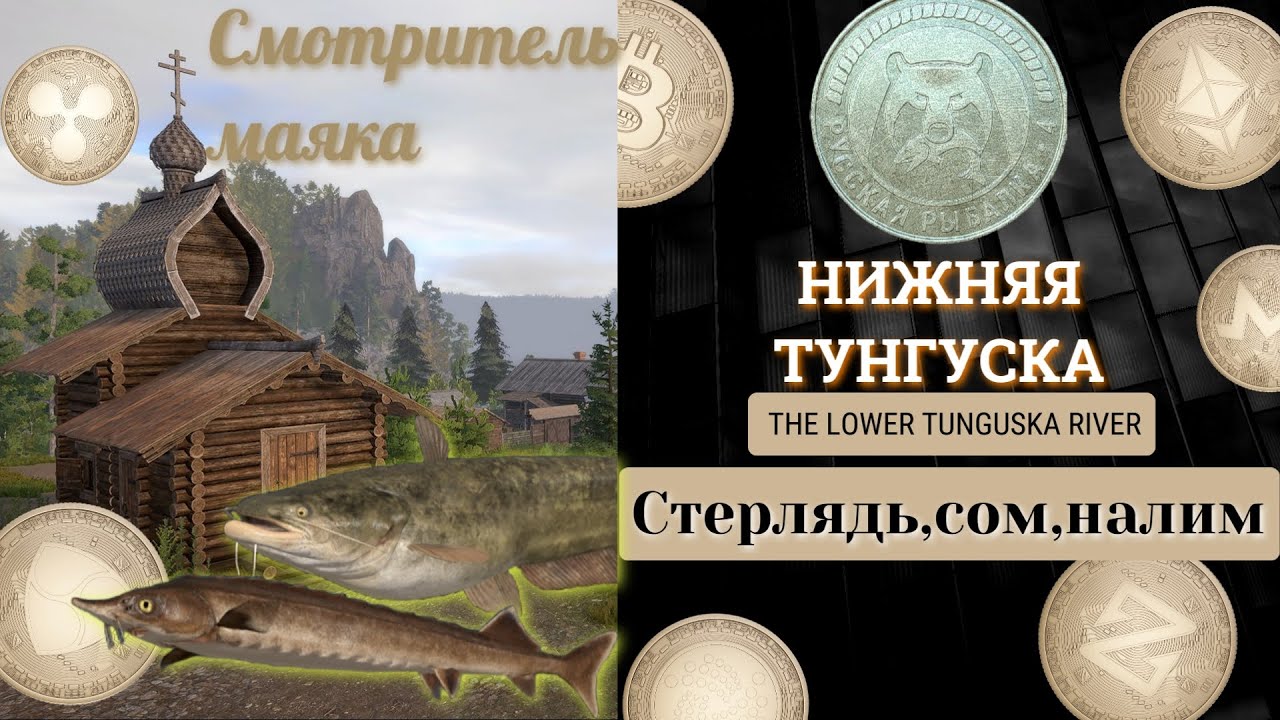рр4 ТУНГУСКА Стерлядь,сом амурский,налим рр 4/TUNGUSKA Sterlet River,Amur catfish,Russian fishing 4