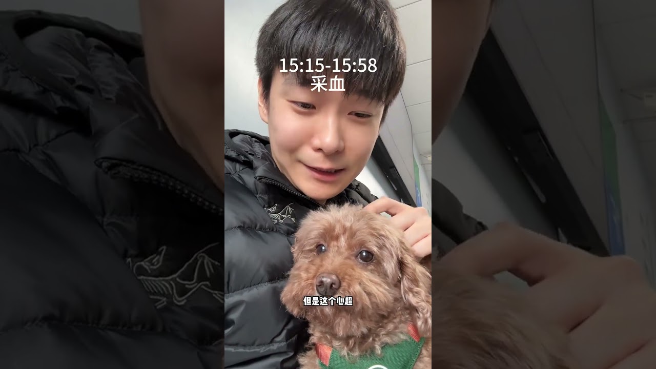 月光下，我和貝殼的影子一長一短，長的是我的影子，短的是它的日子。#萌寵 #狗狗 #日常vlog