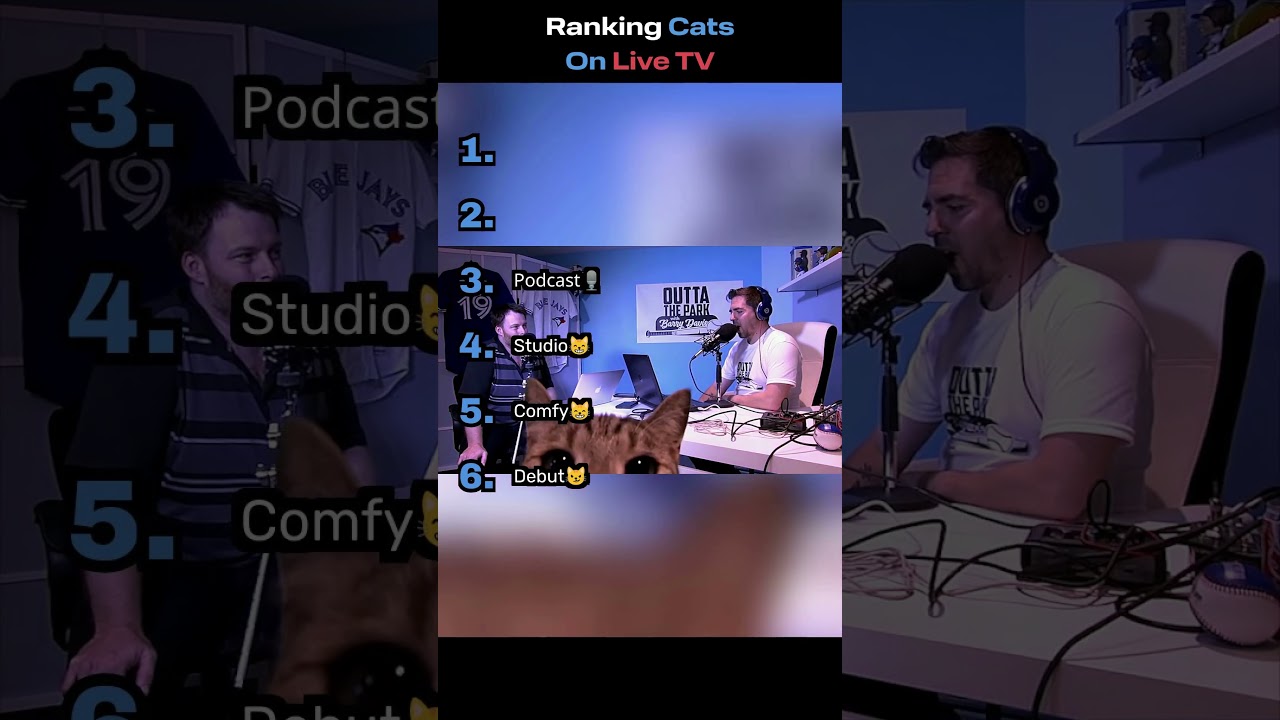 Funniest Cats On Live TV (Part 3) 📺😹
