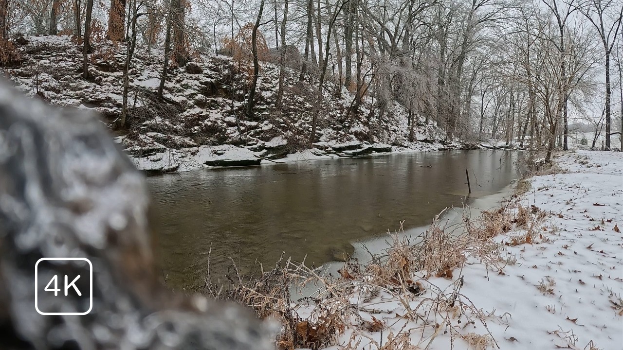 4K Winter Storm Fern ❄️ | Real Snowy Creek Ambience for Calm, Focus & Relaxation (32 Minutes)