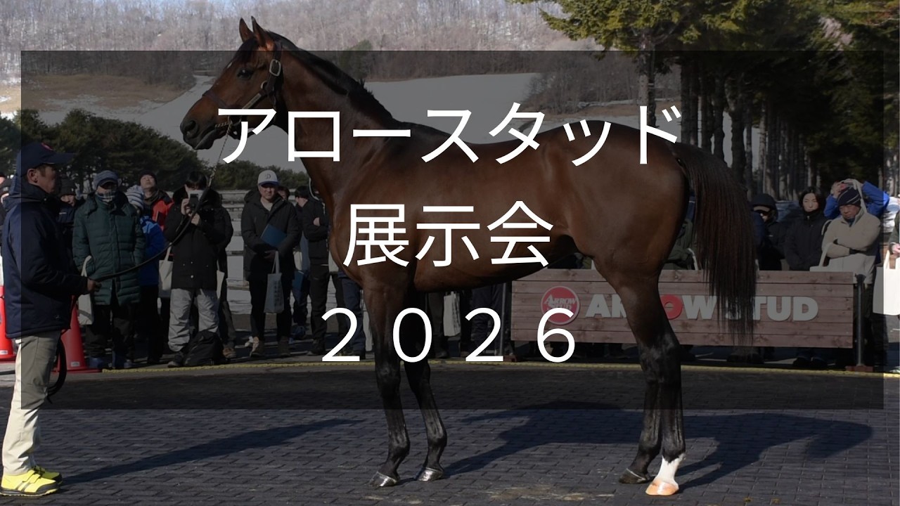 【アロースタッド展示会2026】ウシュバテソーロやジャスティンパレスなど28頭が登場！