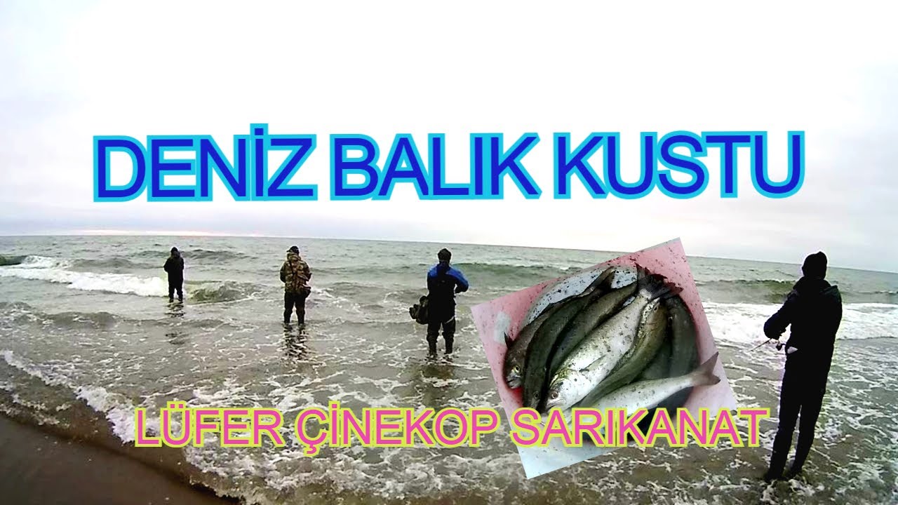 KARADENİZ KARASU LÜFER ÇİNEKOP SARIKANAT BALIK AVI - BALIKTA