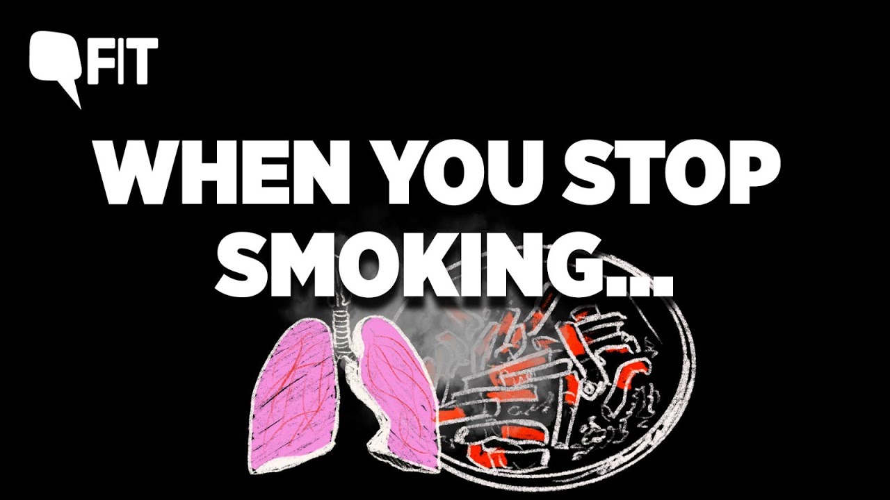 What Happens to Your Body When You Stop Smoking? | The Quint