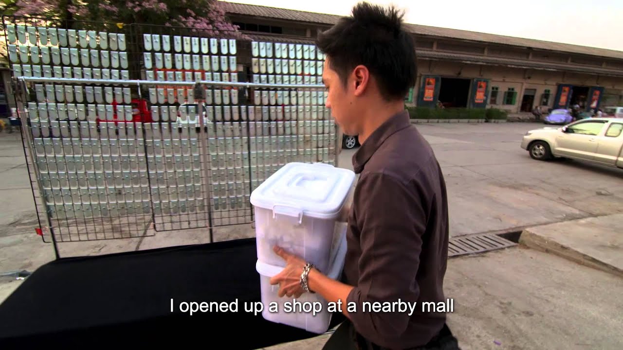 Two Street Vendors in Bangkok [Informal City Dialogues]