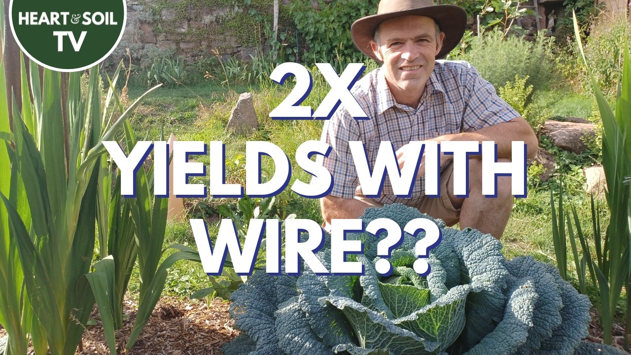 Can Electricity Really Double Your Crop Yield? Electroculture 👀 | Yannick Van Doorne