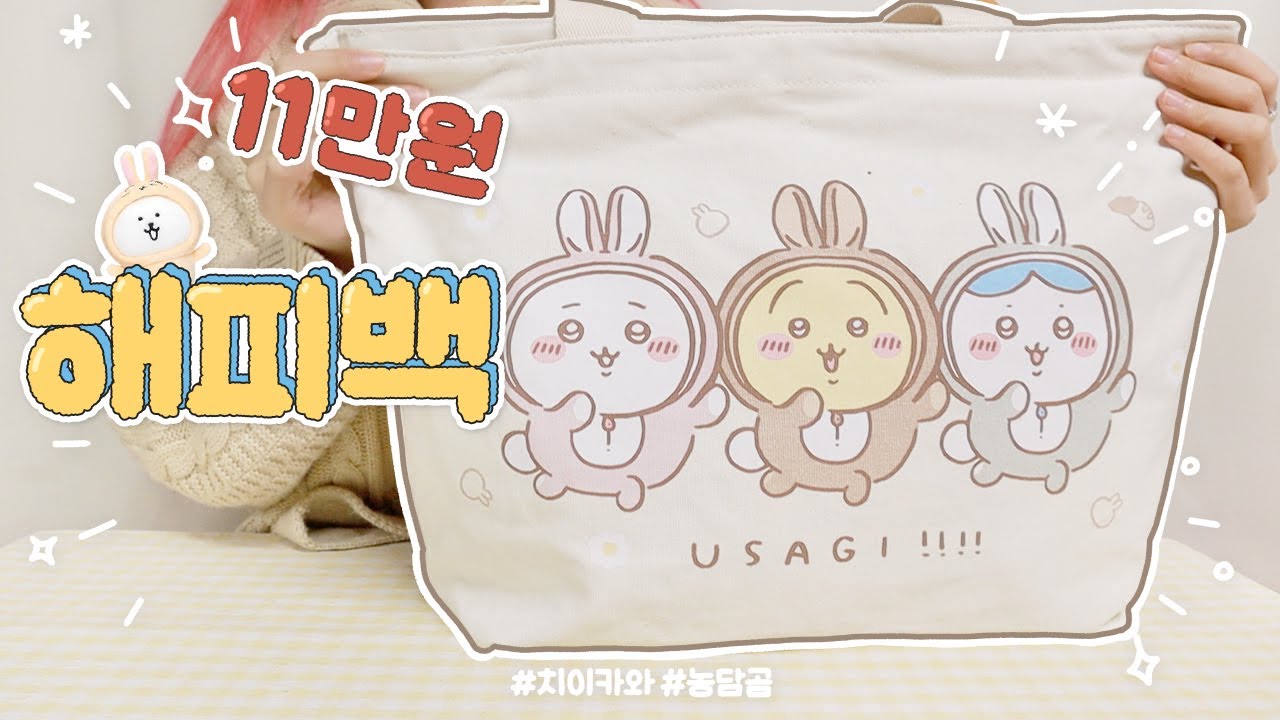 치이카와 해피백 🎁 농담곰 X 치이카와 콜라보 인형까지 26만원 하울