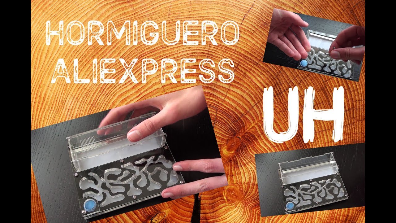 MONTAJE Y REVIEW DEL HORMIGUERO DE ALIEXPRESS