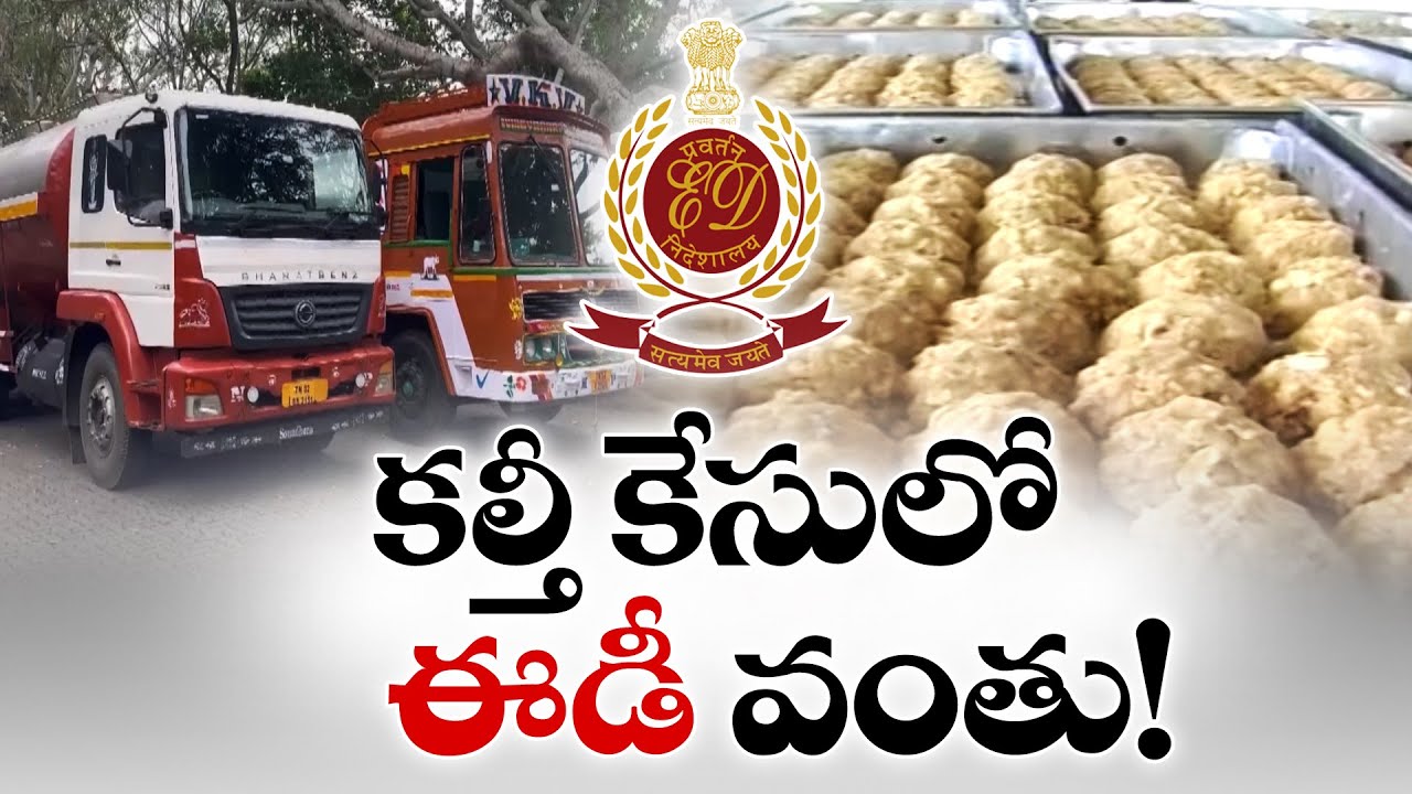 ED Steps In Tirumala  Adulterated Ghee Case | తిరుమల లడ్డూ కల్తీ నెయ్యి కేసులో రంగంలోకి ఈడీ