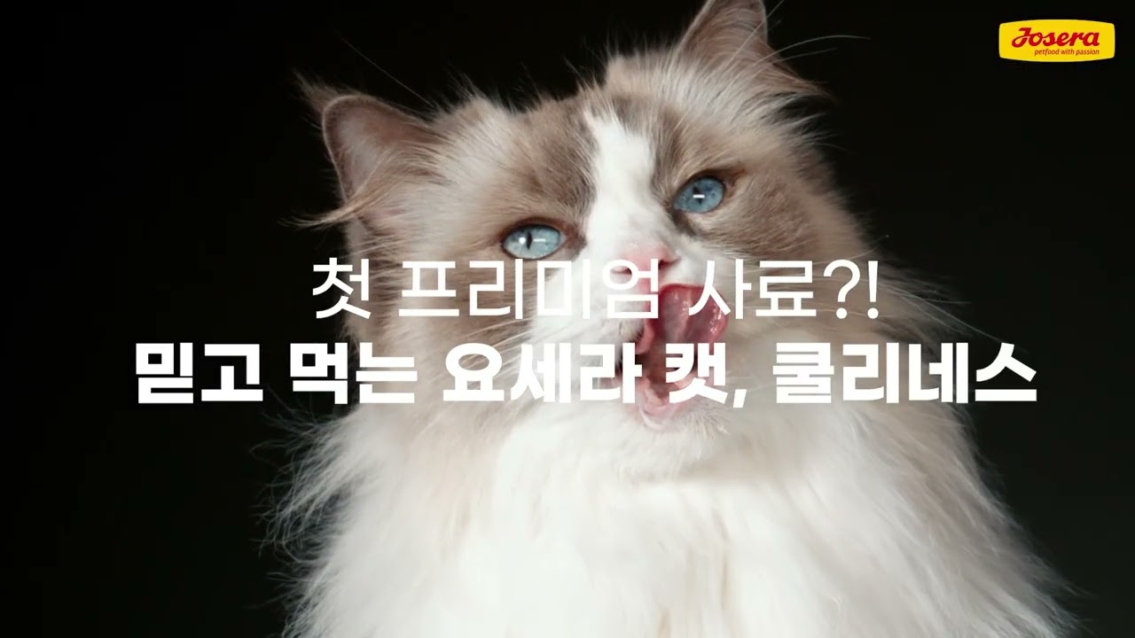 입 짧은 고양이 사료추천! 독일 요세라 캣 쿨리네스 신제품 #요세라 #josera #고양이사료