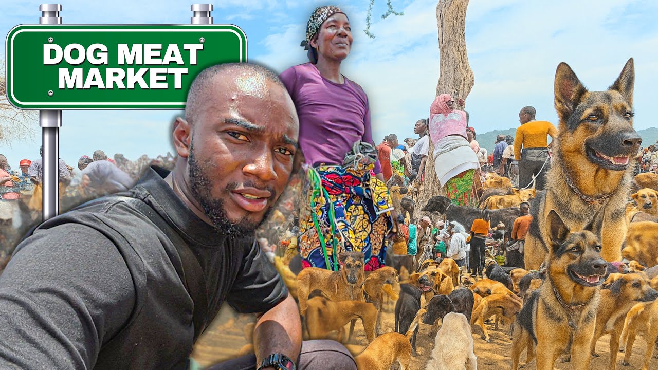 Inside a Dog Meat Market You&rsquo;ve Probably Never Heard Of
