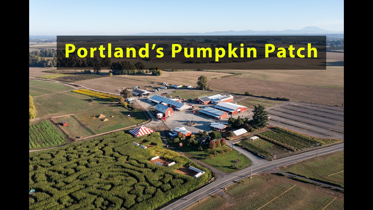 Bird’s Eye View of The Pumpkin Patch on Sauvie Island, Portland, Oregon