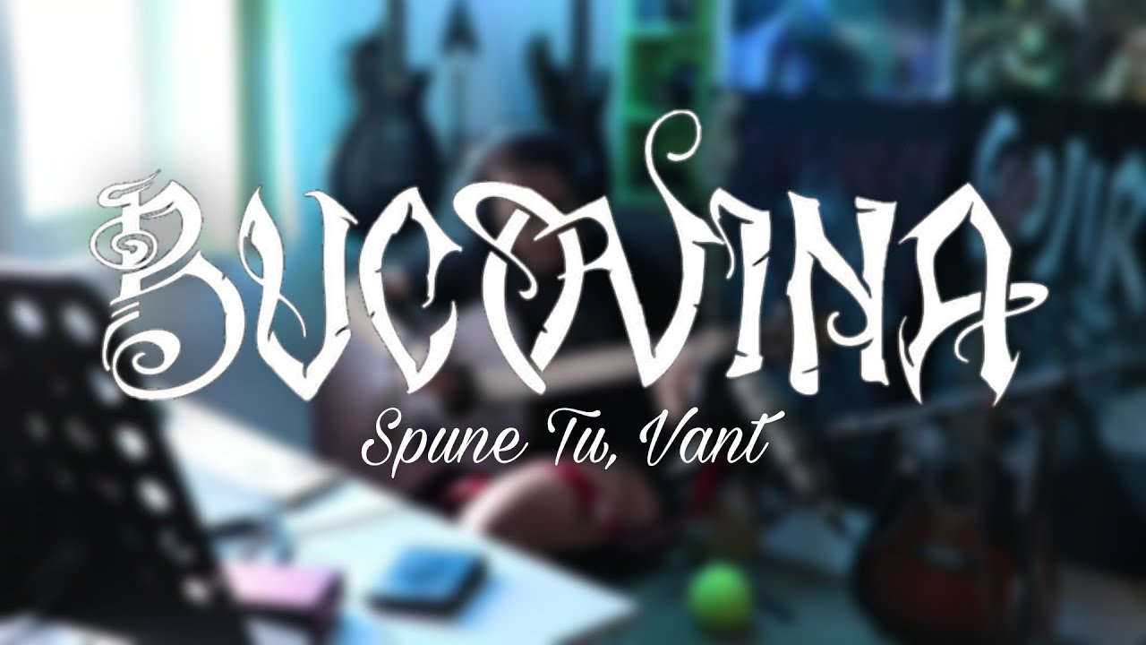 Bucovina: Spune Tu, Vant | Acoustic Guitar Cover feat. Adina