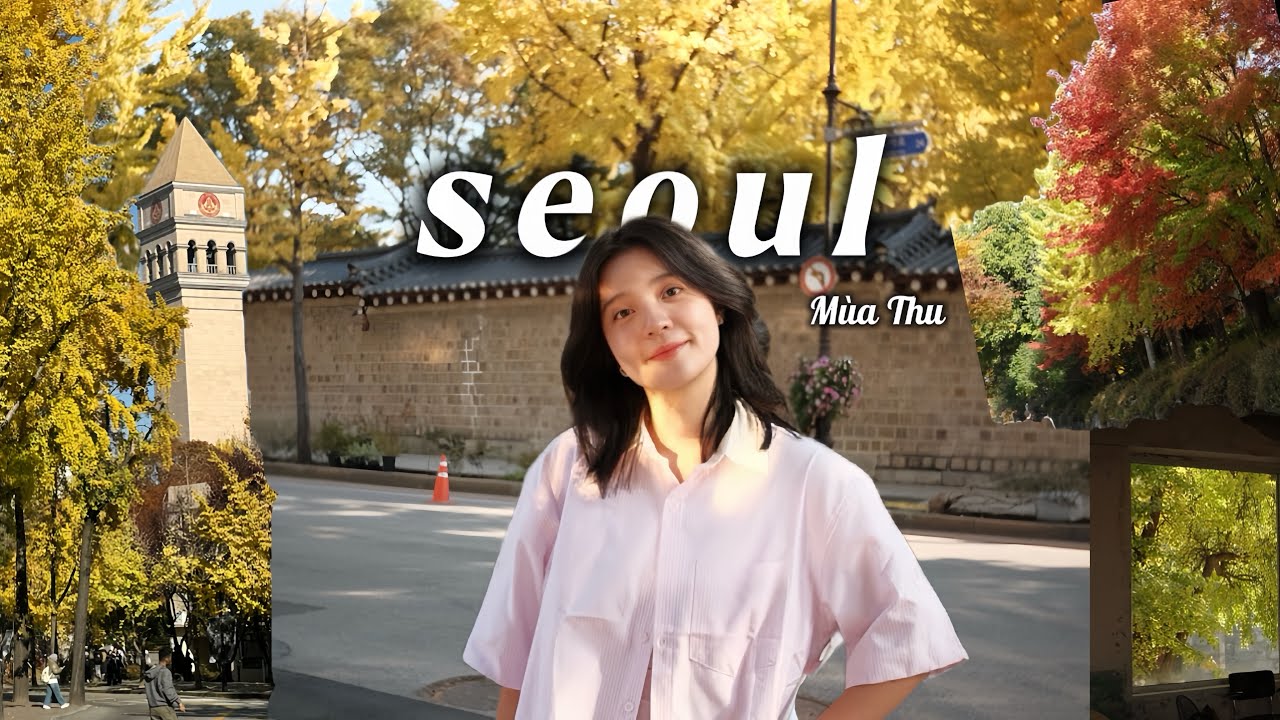 LIFE IN KOREA 🇰🇷 mùa thu vê lóc 🍁🍂