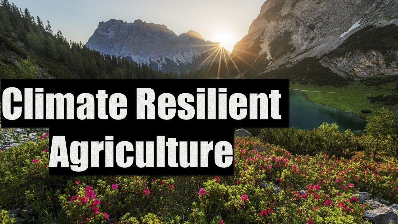 Climate Resilient Agriculture || Climate-Smart Agriculture ||