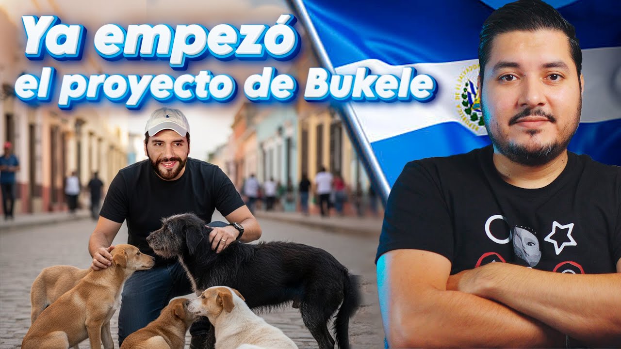 VIDEO: El proyecto de RESCATE de PERROS CALLEJEROS  ya INICIÓ en El Salvador