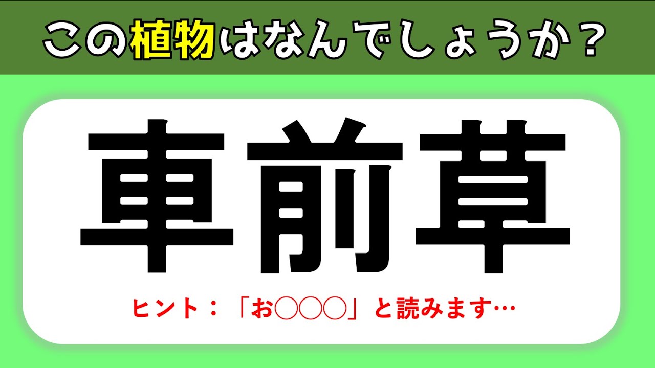 【植物の難読漢字】難しいけど面白い問題！難問揃いの漢字読みクイズを紹介【全20問】