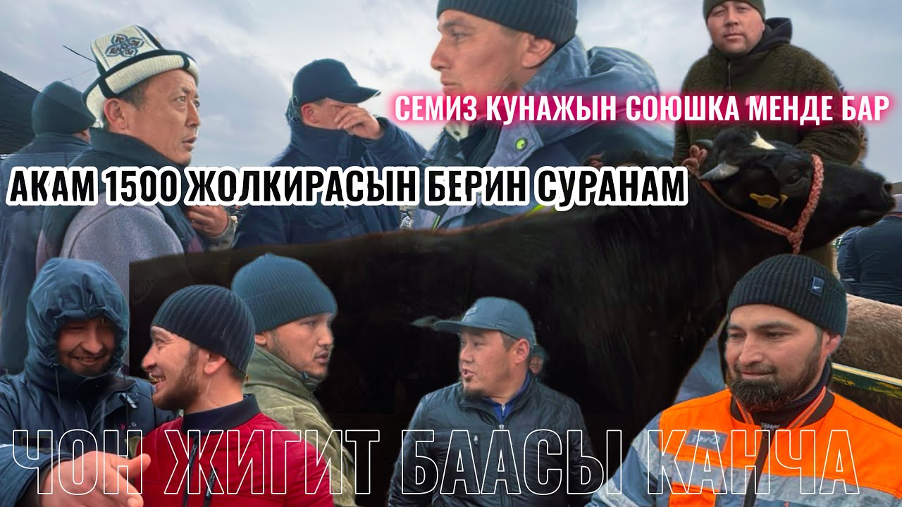 26.02.26ж АРАВАН МАЛ БАЗАР СООДА ОРТ БОЛДУ