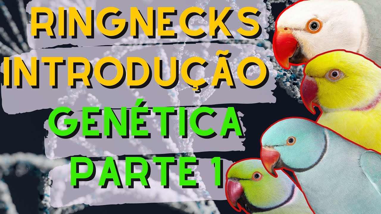 RING NECK   INTRODUÇÃO DE GENÉTICA ( PARTE 1)