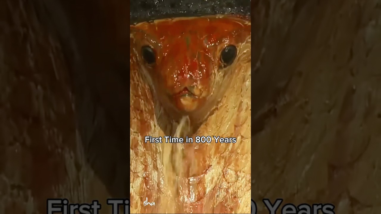 The First Naga Consecration In 800 Years &ndash; Details in Description