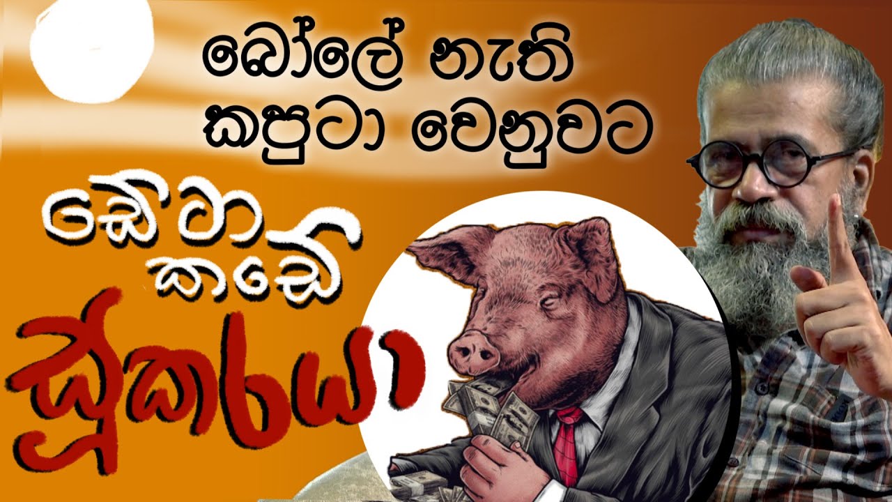 බෝලේ නැති කපුටා වෙනුවට, DATA කඩේ සූකරයා !| Royal Taprobanian