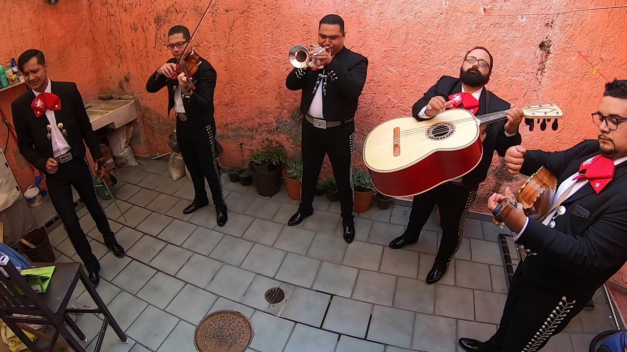 Yo quiero ser / Mariachi Tradición Tapatía