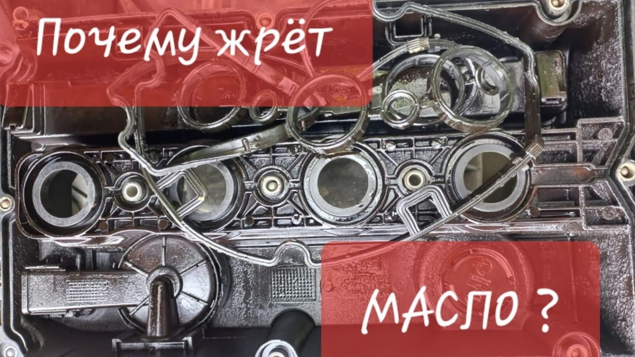 Дикий масложор из-за клапанной крышки. A16XER/F18D4.