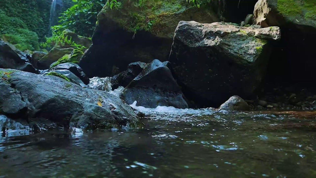 Purest Sounds of water &ndash; Ridge Run &mdash; no city noise, only creek.