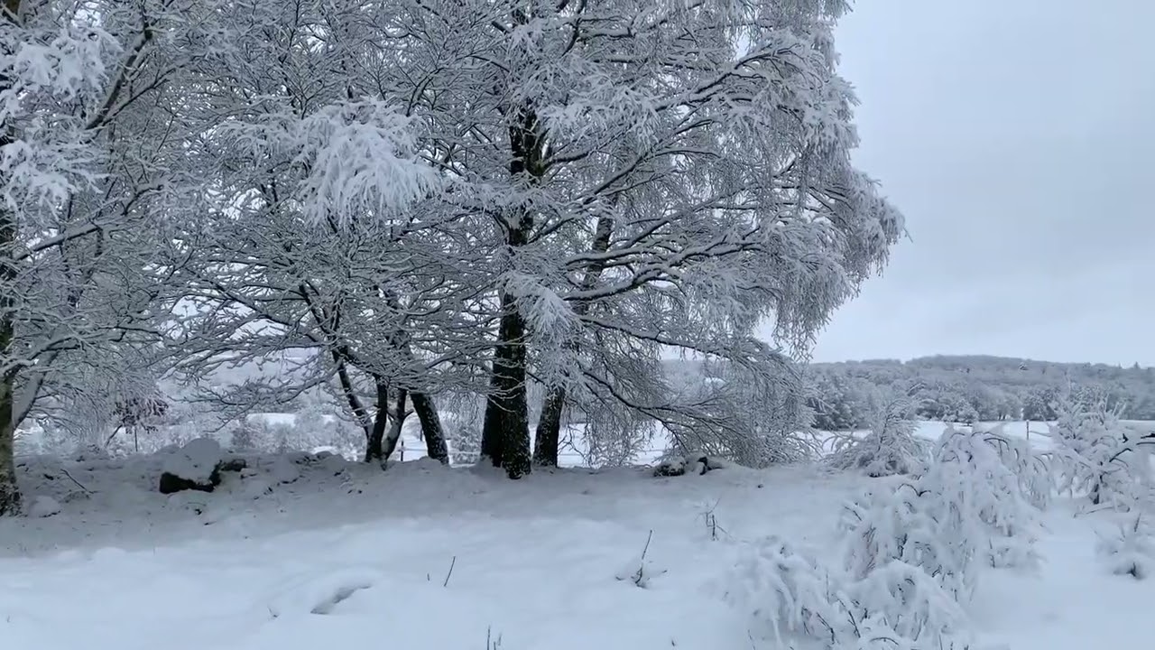 Vinterlandskap på Hovdala 