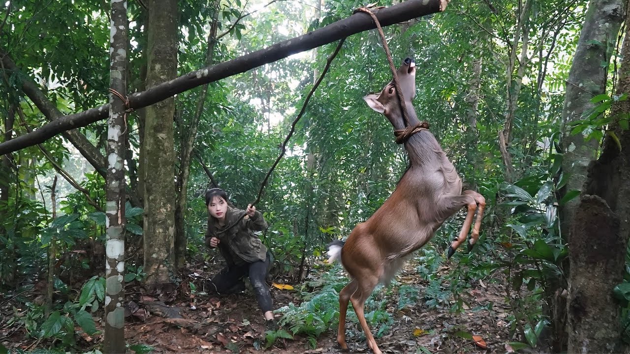 200 Days of Survival in the Wilderness | Skills for Crafting Deer Traps, survival alone