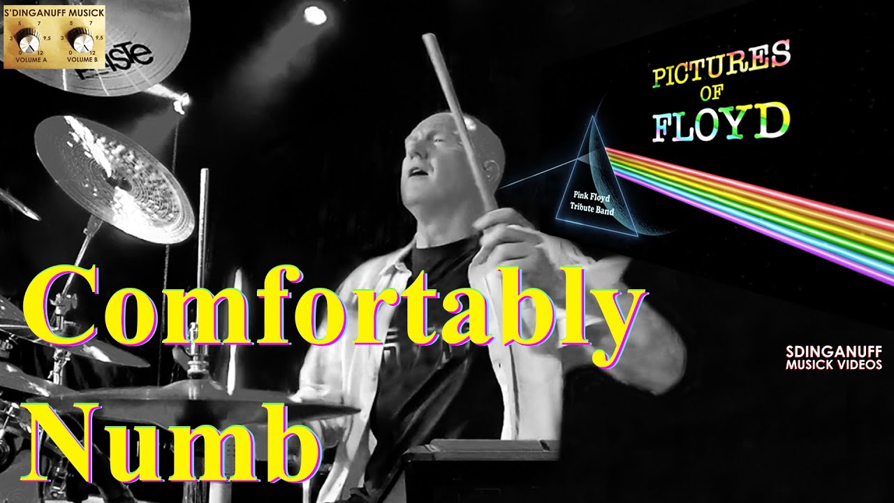 Концовка гитарного соло &laquo;Comfortoughly Numb&raquo; Паскаля Брета с &laquo;Pictures of Floyd&raquo; (барабанная камера)