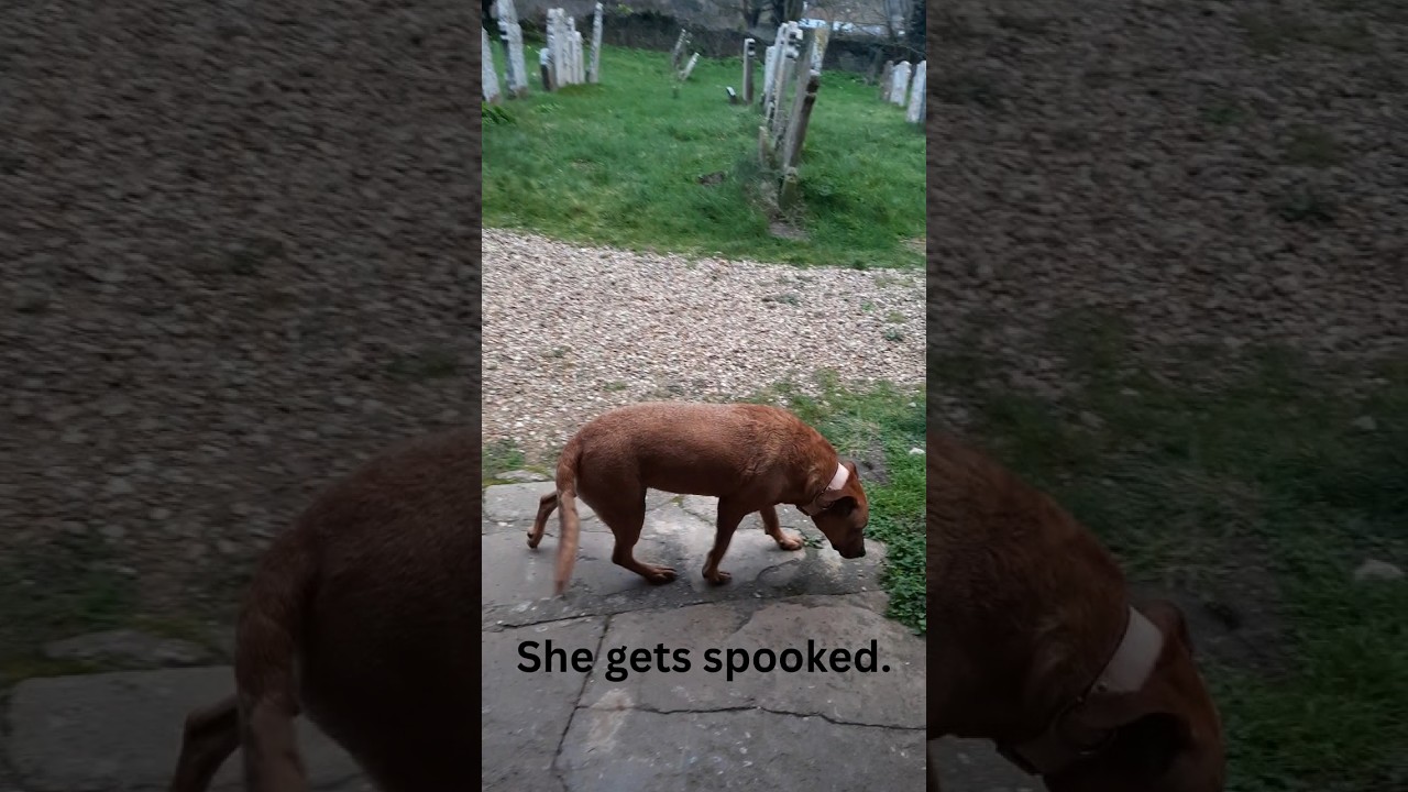 She Gets Spooked at Honing Church 