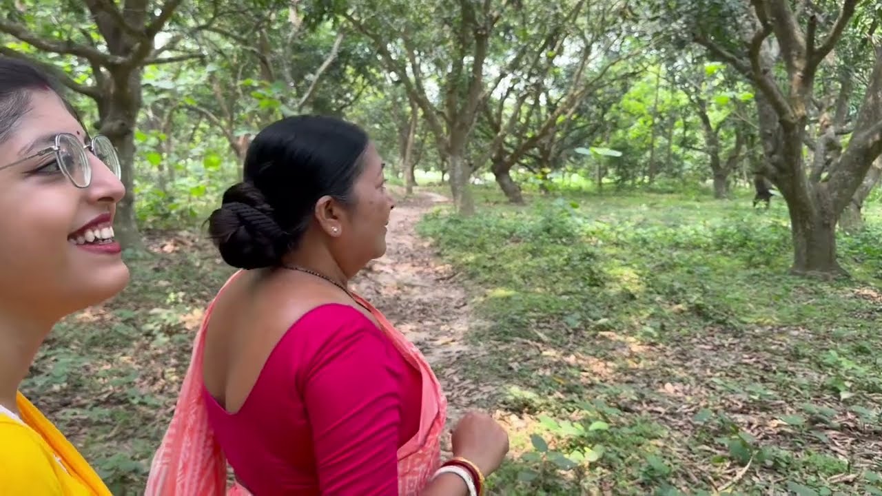 দেশের বাড়ির বিখ্যাত নোয়াজন পুজো, ঝড়ের রাত্রে আম কুড়ানো