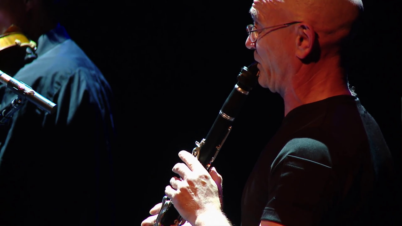 Wim Mertens - The Place of a Gap