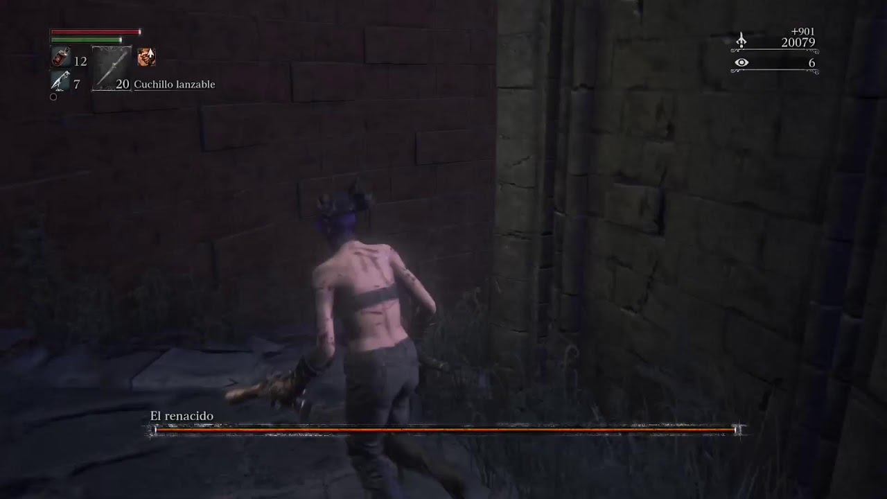 Bloodborne no hit dia 2