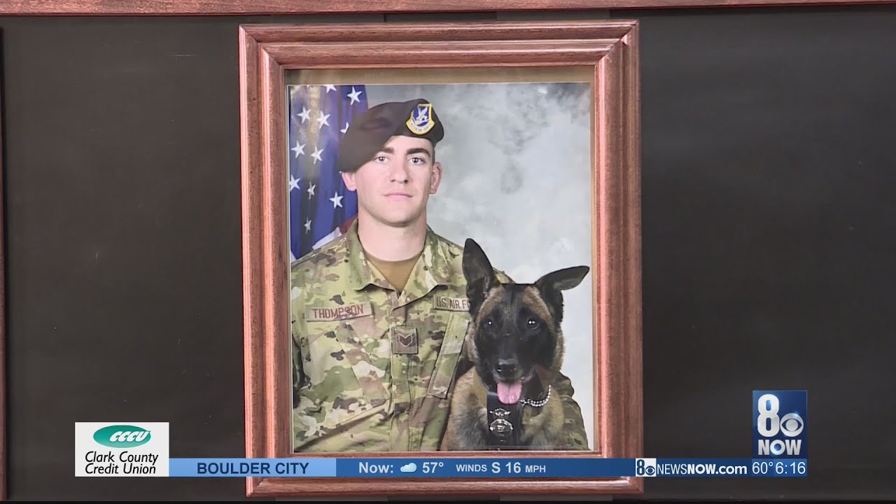 Military dogs honored for National K9 Veterans Day