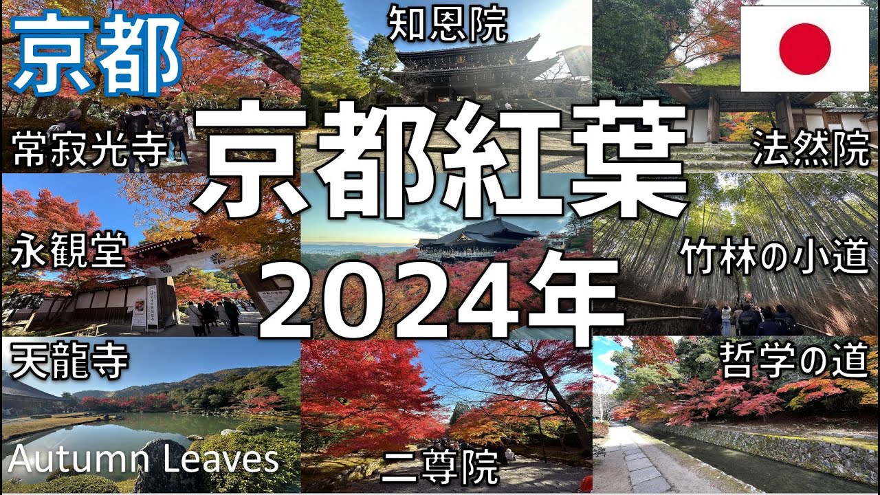 【2024年】京都紅葉巡り 嵐山：天龍寺・竹林の小径・嵯峨野トロッコ・龍安寺・常寂光寺・野宮神社、永観堂・哲学の道・法然院、清水寺・高円寺・知恩院 / Kyoto Autumn Leaves 2024