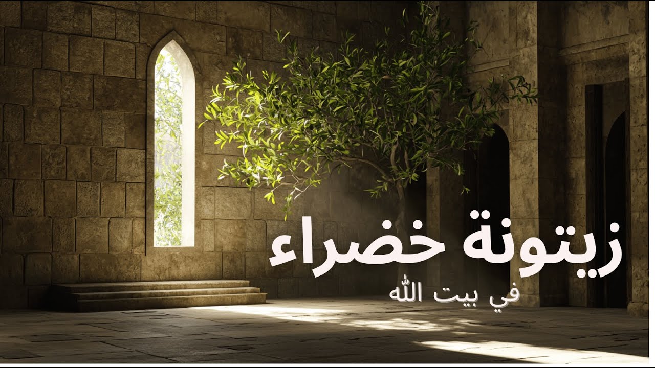 مزمور ٥٢ | مثل زيتونة خضراء في بيت الله #مزمور٥٢ #اكسبلور #إيمان