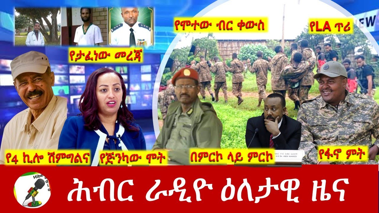 Hiber Radio Daily Ethiopia News  ዕለታዊ ዜና Nov 12/13, 2025