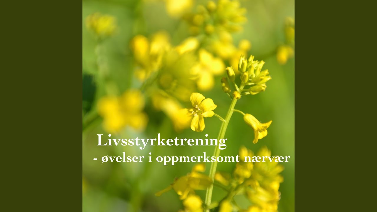 Stående yogaøvelser