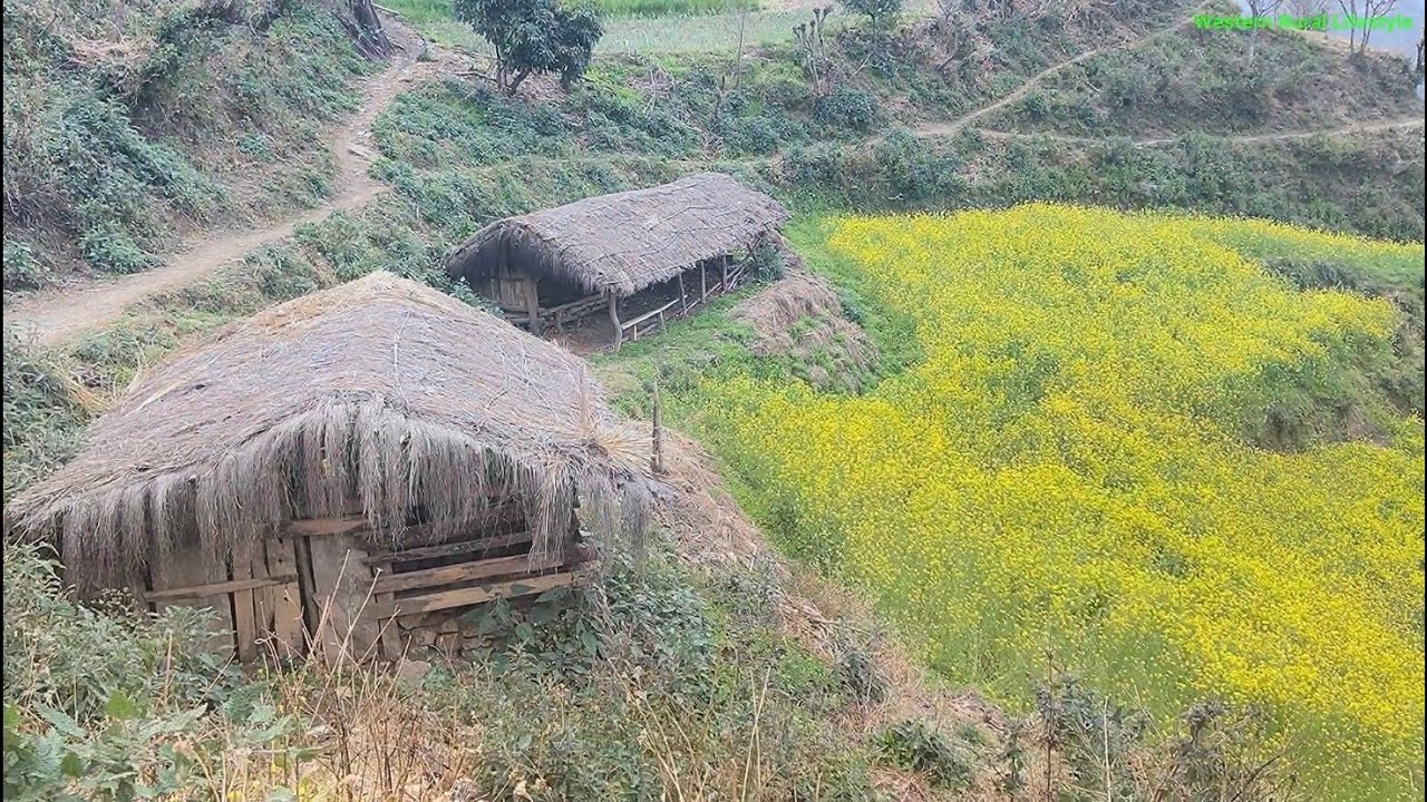 Hidden Village Life of Western Nepal | Simple & Traditional Lifestyle