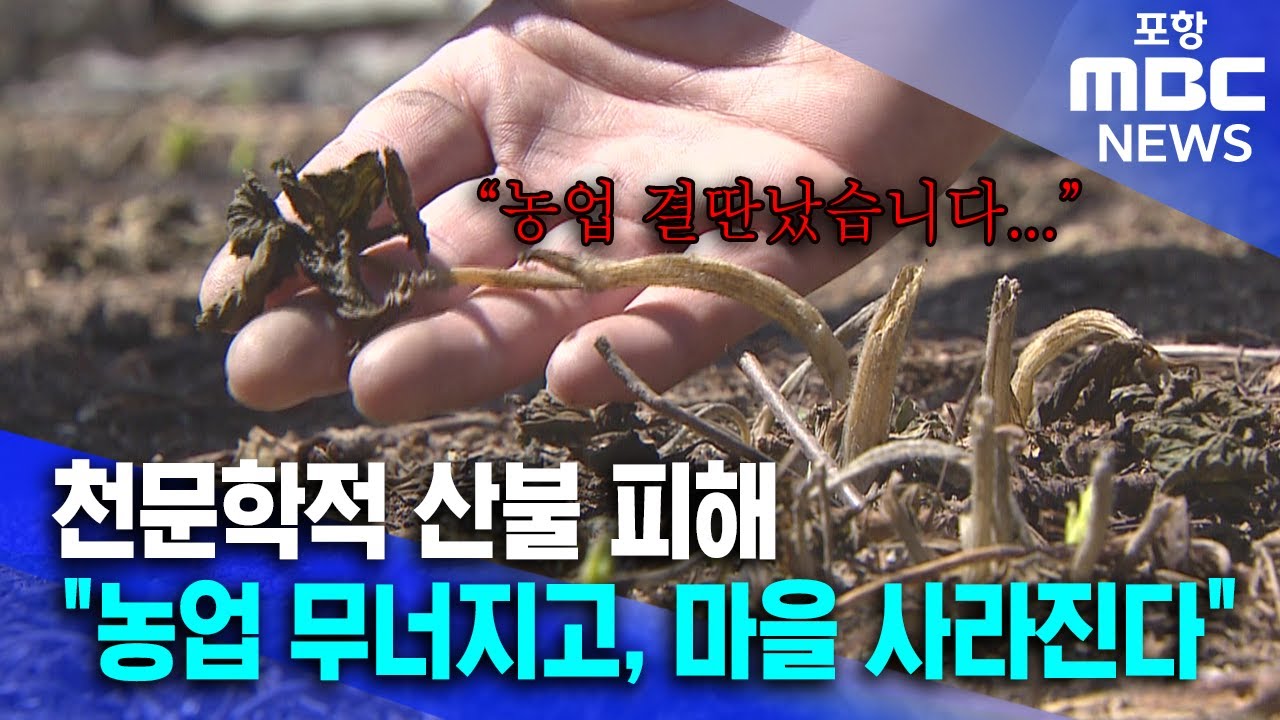 천문학적 산불 피해..