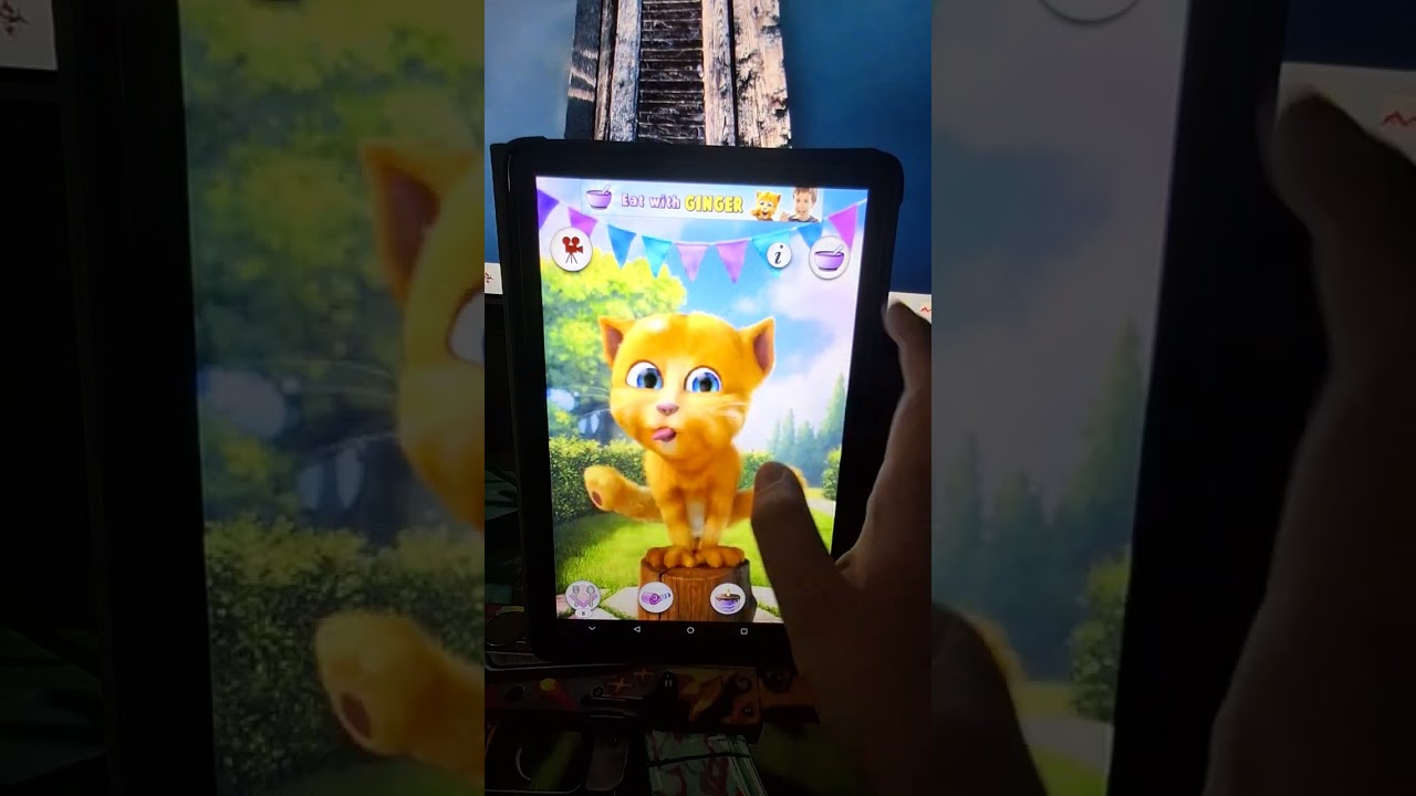 Ginger's Birthday 1.1.1 2013