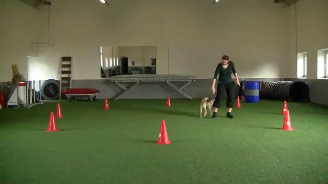 sputnik trick n jump