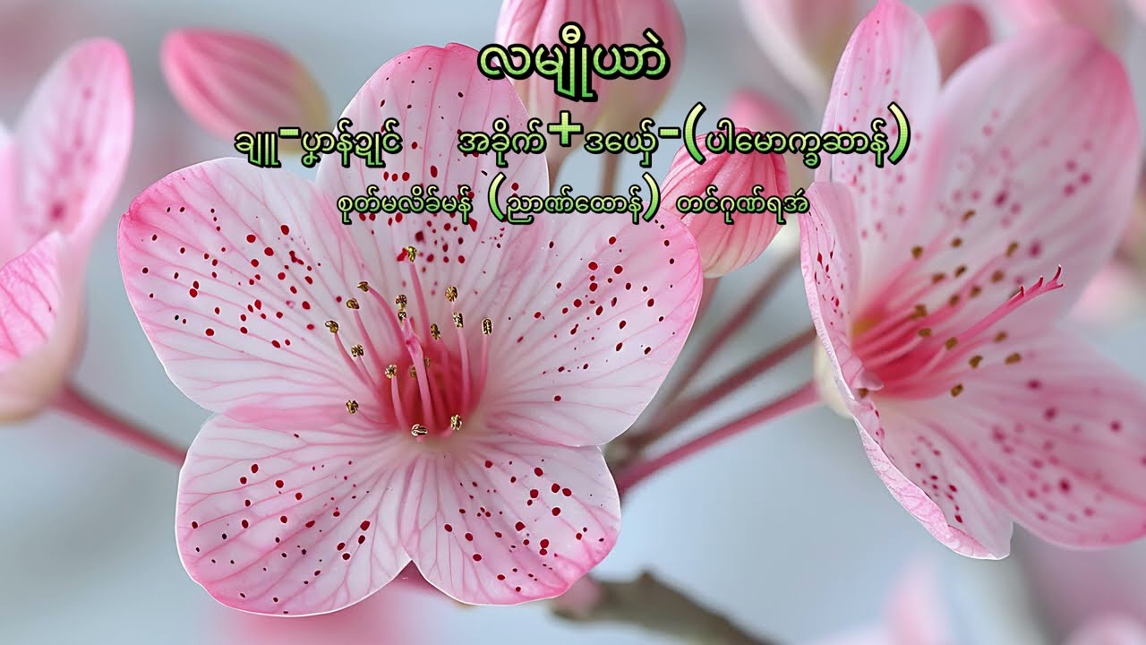 ပါမောက္ခဆာန်  (လမျီုယာဲ)