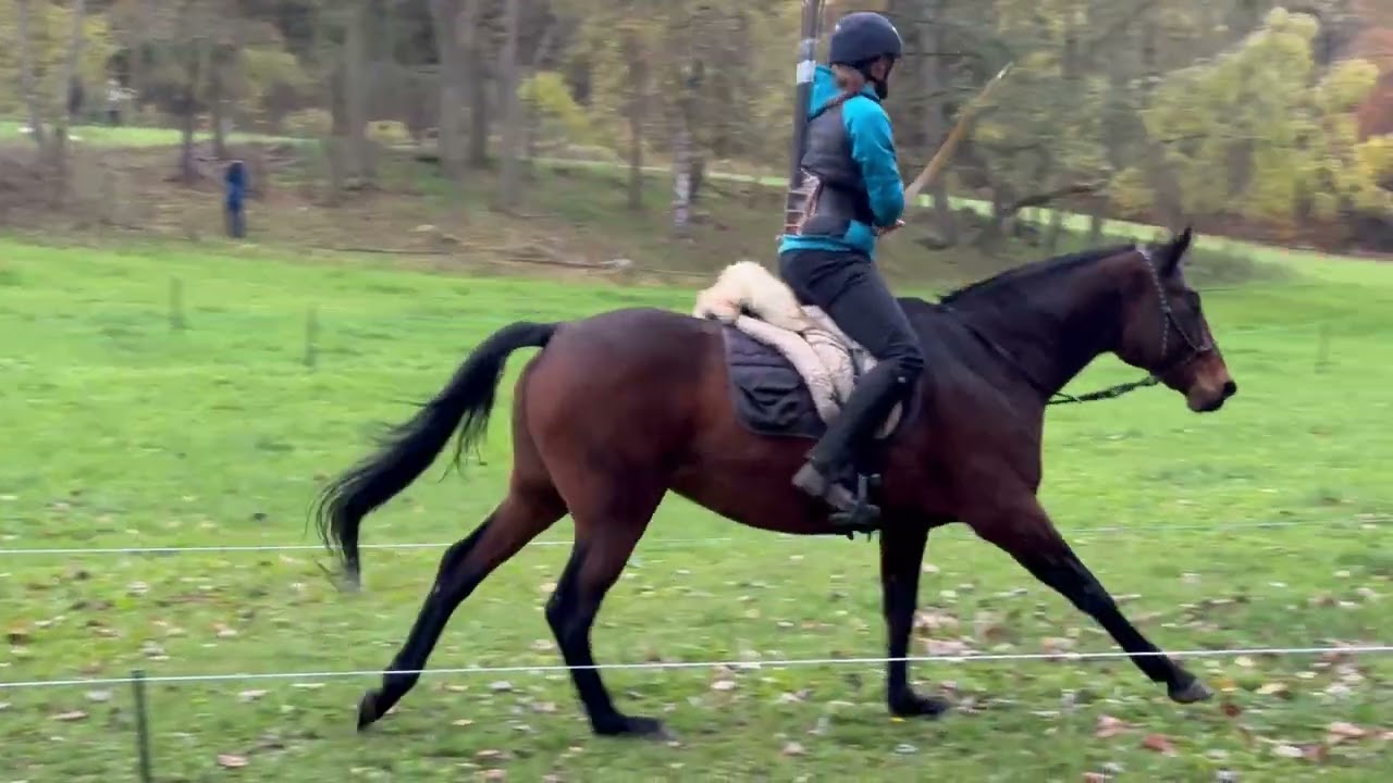 Sestřih Hunt Track