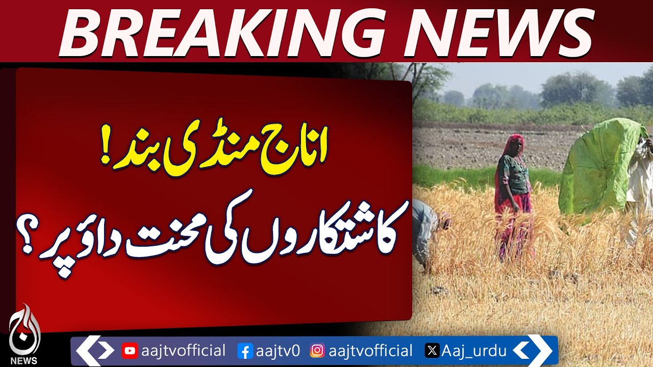 Kashmore Rice Harvest | Grain Market Closure | Farmers Face Major Challenges - Aaj Pakistan News