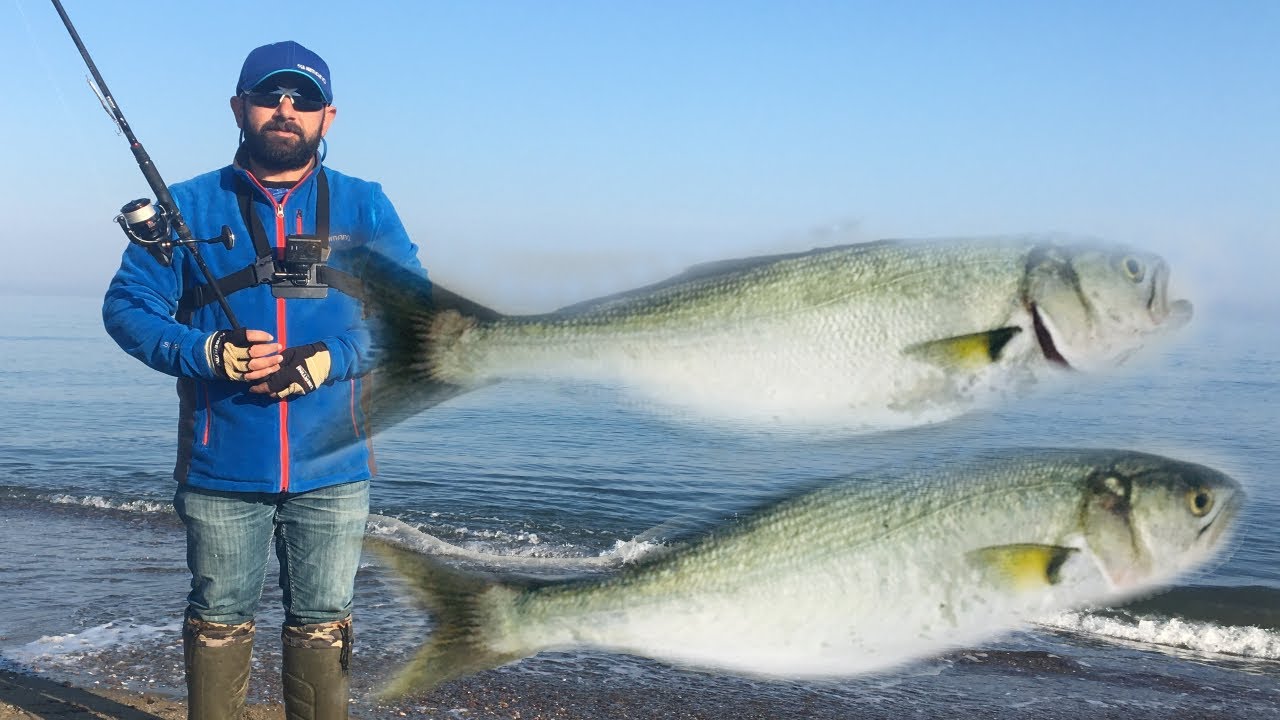 LÜFER BALIK AVI ATÇEK -SPİN #lüferavı #fishing #balıkavı #atçek #spin